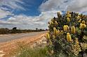 040 Kalbarri NP